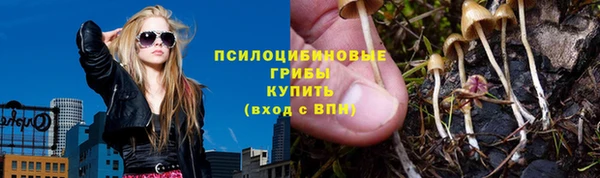 герыч Алексин
