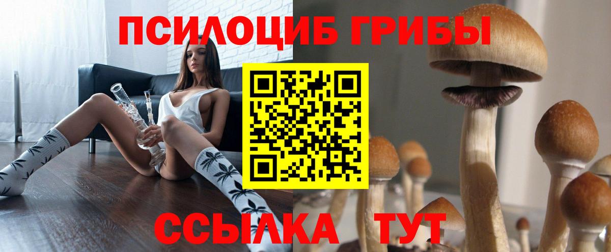 Псилоцибиновые грибы Psilocybe  Вход с VPN  Сыктывкар 